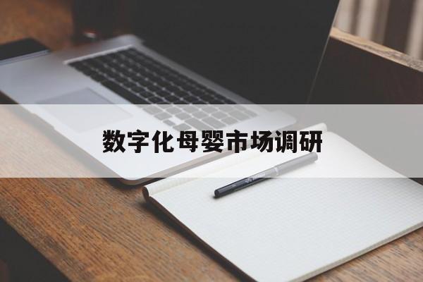 宝鸡市数字化母婴市场调研(数字化母婴市场调研报告)